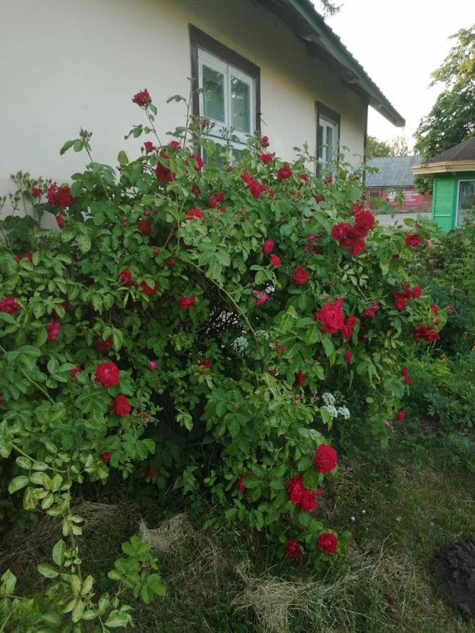 Kica Kroga Apartaments Ainaži Buitenkant foto