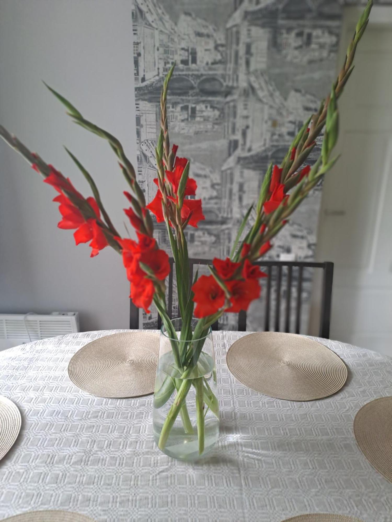 Kica Kroga Apartaments Ainaži Buitenkant foto