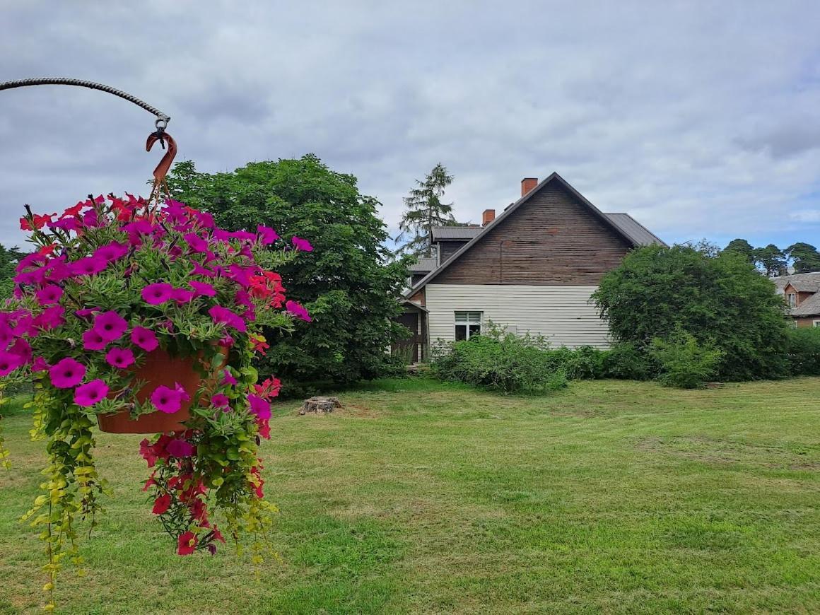 Kica Kroga Apartaments Ainaži Buitenkant foto